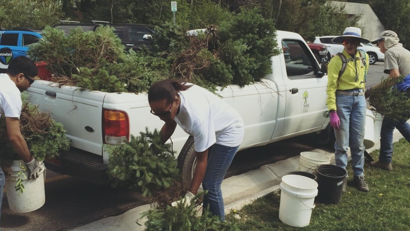 A group of four people surround an old white truck filled with young trees