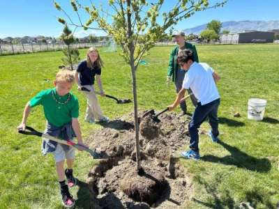 A group of four work together to plant a tree in a grassy field.