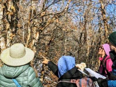 Group of people dressed in winter clothes actively pointing at winter trees to ID them
