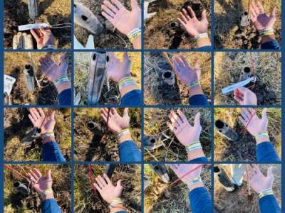16 photos of volunteer's hand with the trees that he planted