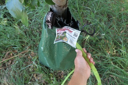 gatorbag