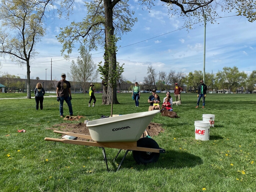 Wheelbarrow by trees