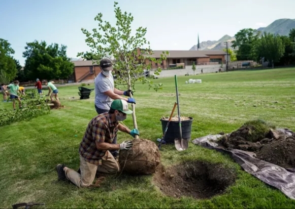 Two people planting a tree in a green field