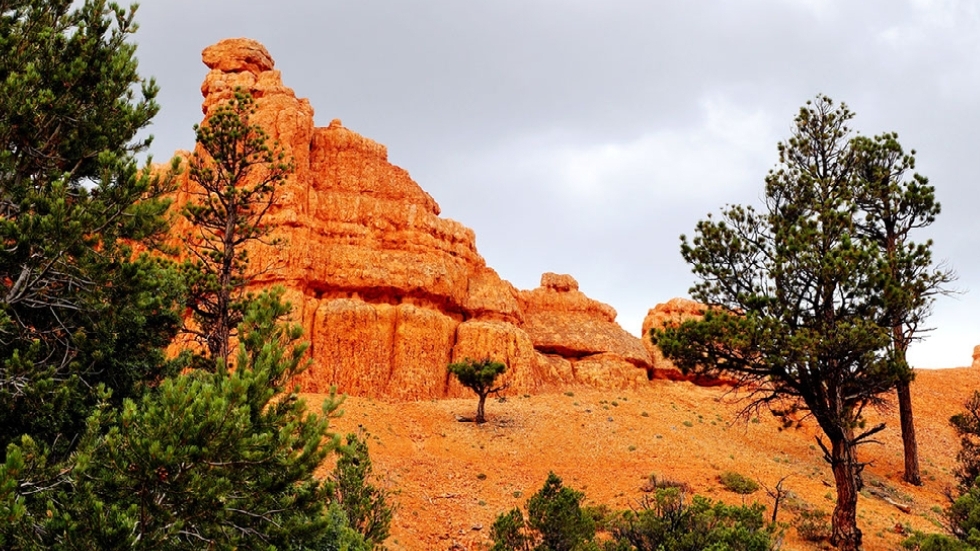 Bryce canyon with trees below hoodoo