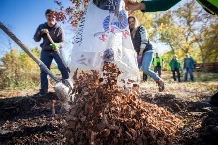 mulching