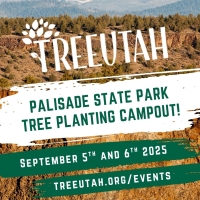 Event flyer that repeats information shared on this webpage
