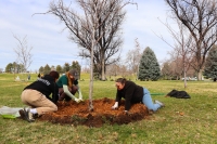three girls in darker hoodies adding a mulch ring around a young tree