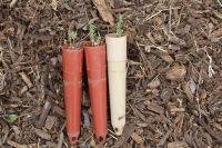 EcoGarden After-Work-Day Gardening