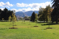 Sugar House Park Arboretum Tour and Mulch Madness Event!