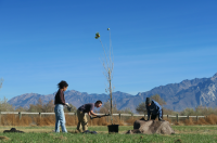 Three people dig a hole in preparation to plant a young tree.