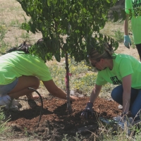 Mulch Madness at Sugar House Park