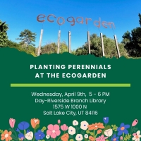 Planting Perennials at the EcoGarden