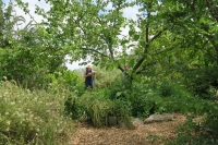 EcoGarden Clean Up with Go Unite