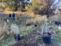 Plating Native Trees at Stokes Nature Center in Nibley, Utah (Cache Valley)! 