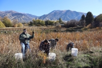 Tree Planting at Decker Lake