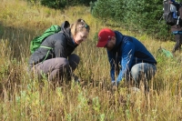 Two volunteers plant a small sapling in a grassy field