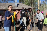 team of volunteers planting a tree