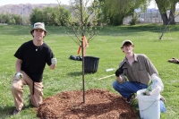 Planting Trees at Wheadon Farm Park!