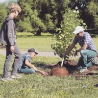 A father and his two children work together to plant a tree