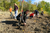 Tree Planting at Murray Park!
