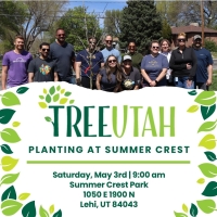 Tree Planting at Summer Crest Park