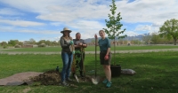 Three volunteers pose next to a hole the dug together for a tree