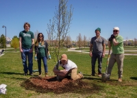 Four volunteers stand next to an individual hugging a tree they all planted together