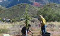 Tree Planting at the Ogden Nature Center